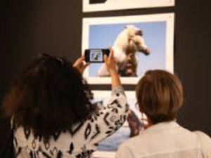 افتتاح معرض التصوير الفوتوغرافي للفنان الأمريكي ريكي لافيرن مارتن بالدار البيضاء افتتاح معرض التصوير الفوتوغرافي للفنان الأمريكي ريكي لافيرن مارتن بالدار البيضاء