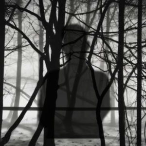 خمسون عامًا في ظلال الصمت خمسون عامًا في ظلال الصمت