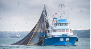 اتفاق صيد بين المغرب و روسيا يشمل سواحل الأقاليم الجنوبية اتفاق صيد بين المغرب و روسيا يشمل سواحل الأقاليم الجنوبية