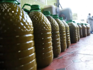 الذهب الأخضر : الوسطاء يتسببون في ارتفاع أسعار زيت الزيتون في المغرب الذهب الأخضر : الوسطاء يتسببون في ارتفاع أسعار زيت الزيتون في المغرب