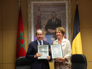 مكافحة الجريمة العابرة للحدود..مباحثات تجمع الداكي بالمدعية الفدرالية البلجيكية مكافحة الجريمة العابرة للحدود..مباحثات تجمع الداكي بالمدعية الفدرالية البلجيكية