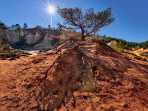 مديرية الأرصاد الجوية : سنة 2023 هي السنة الأكثر جفافا منذ بداية القرن العشرين مديرية الأرصاد الجوية : سنة 2023 هي السنة الأكثر جفافا منذ بداية القرن العشرين