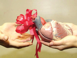 في البوم العالمي للتبرع بالأعضاء : المغرب يسجل فقط 640 عملية زراعة كلى  منذ 1986 في البوم العالمي للتبرع بالأعضاء : المغرب يسجل فقط 640 عملية زراعة كلى  منذ 1986