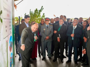 أحمد البواري يطلق الموسم الفلاحي 2024/2025 ويعلن عن تدابير لدعم الإنتاج أحمد البواري يطلق الموسم الفلاحي 2024/2025 ويعلن عن تدابير لدعم الإنتاج