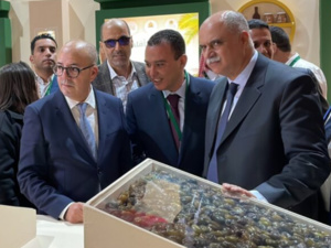 أحمد البواري: المغرب يتوقع إنتاج 103 آلاف طن خلال الموسم الفلاحي الجديد أحمد البواري: المغرب يتوقع إنتاج 103 آلاف طن خلال الموسم الفلاحي الجديد