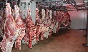 أونسا: اللحوم المستوردة تكون مصحوبة بشهادة صحية وشهادة “ذبح حلال” تسلمها هيئة إسلامية معتمدة أونسا: اللحوم المستوردة تكون مصحوبة بشهادة صحية وشهادة “ذبح حلال” تسلمها هيئة إسلامية معتمدة