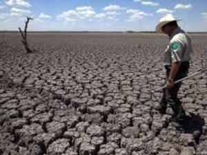 ابتكارات وبحوث رائدة في مواجهة التصحر والجفاف المغرب يعرض تجربته الناجحة في مؤتمر الأطراف (كوب 16) بالسعودية ابتكارات وبحوث رائدة في مواجهة التصحر والجفاف المغرب يعرض تجربته الناجحة في مؤتمر الأطراف (كوب 16) بالسعودية