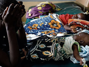 المغرب يتصدر شمال إفريقيا والشرق الأوسط كأول دولة خالية من الملاريا المغرب يتصدر شمال إفريقيا والشرق الأوسط كأول دولة خالية من الملاريا