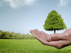 صندوق البيئة العالمي يخصص 68 مليون دولار لدعم مشاريع بيئية في 20 دولة صندوق البيئة العالمي يخصص 68 مليون دولار لدعم مشاريع بيئية في 20 دولة