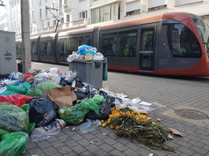 الدار البيضاء تطلق مشروع «شرطة النظافة» لمحاربة التلوث والنفايات الدار البيضاء تطلق مشروع «شرطة النظافة» لمحاربة التلوث والنفايات