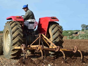 المندوبية السامية للتخطيط : الأداء الاقتصادي مرهون بموسم شتوي جيد المندوبية السامية للتخطيط : الأداء الاقتصادي مرهون بموسم شتوي جيد