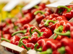 إسبانيا تستورد 80.67 مليون كيلوغرام من الفلفل المغربي في 2024 إسبانيا تستورد 80.67 مليون كيلوغرام من الفلفل المغربي في 2024