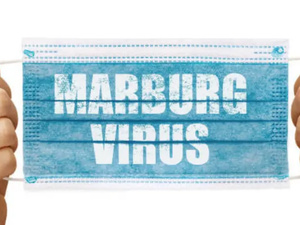 فيروس ماربورغ القاتل: منظمة الصحة العالمية تحذر من انتشار واسع فيروس ماربورغ القاتل: منظمة الصحة العالمية تحذر من انتشار واسع