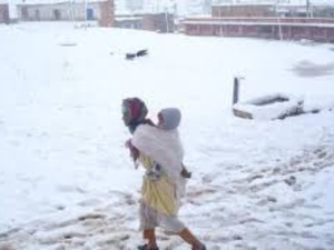 تدابير استباقية لمواجهة موجة البرد تستهدف 1000 أسرة بإقليم فجيج تدابير استباقية لمواجهة موجة البرد تستهدف 1000 أسرة بإقليم فجيج