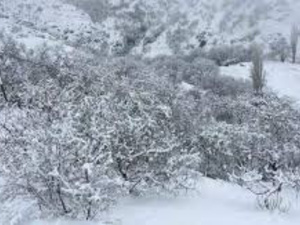 موجة البرد تعلق الدراسة في 157 مؤسسة تعليمية بالحسيمة وشفشاون موجة البرد تعلق الدراسة في 157 مؤسسة تعليمية بالحسيمة وشفشاون