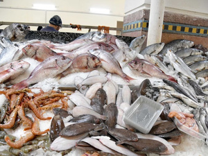 مستشارون برلمانيون يطالبون بضمان استفادة المغاربة من الثروة السمكية مستشارون برلمانيون يطالبون بضمان استفادة المغاربة من الثروة السمكية