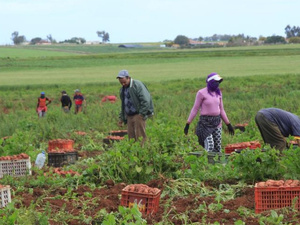 أمطار فبراير تُنعش الموسم الفلاحي بجهة الشرق وتُبشر بموسم واعد أمطار فبراير تُنعش الموسم الفلاحي بجهة الشرق وتُبشر بموسم واعد