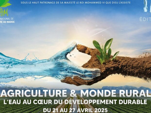 مكناس تستعد لاستضافة الدورة السابعة عشرة للمعرض الدولي للفلاحة مكناس تستعد لاستضافة الدورة السابعة عشرة للمعرض الدولي للفلاحة