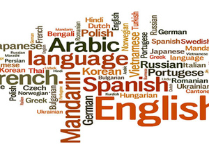 هل تُعد اللغات في النظام التعليمي المغربي عائقا أم فرصة للنجاح؟ هل تُعد اللغات في النظام التعليمي المغربي عائقا أم فرصة للنجاح؟