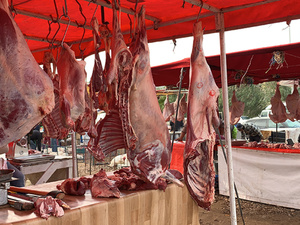 الخراطي : إلغاء عيد الأضحى قد يخفض أسعار اللحوم شريطة ضبط الأسواق الخراطي : إلغاء عيد الأضحى قد يخفض أسعار اللحوم شريطة ضبط الأسواق