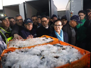 زكية الدريوش: إجراءات جديدة لتنظيم مهنة بيع السمك بالجملة وتطوير القطاع زكية الدريوش: إجراءات جديدة لتنظيم مهنة بيع السمك بالجملة وتطوير القطاع