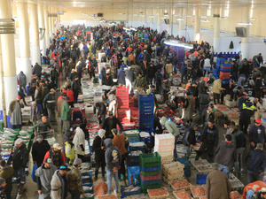 أسعار الأسماك بالجملة والتقسيط في الدار البيضاء: التفاوتات ومدى توفرها خلال شهر رمضان أسعار الأسماك بالجملة والتقسيط في الدار البيضاء: التفاوتات ومدى توفرها خلال شهر رمضان