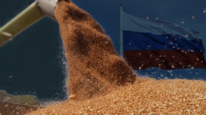 المغرب يستورد 31 ألف طن من القمح الروسي في فبراير 2025 المغرب يستورد 31 ألف طن من القمح الروسي في فبراير 2025