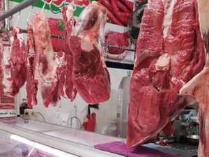 سوق اللحوم بالمغرب.. اضطراب الأسعار وسط حيرة ترقب المستهلكين سوق اللحوم بالمغرب.. اضطراب الأسعار وسط حيرة ترقب المستهلكين