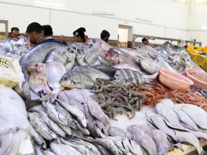 مبادرة «الحوت بثمن معقول» تحقق نجاحًا كبيرًا وتوسعًا غير مسبوق مبادرة «الحوت بثمن معقول» تحقق نجاحًا كبيرًا وتوسعًا غير مسبوق