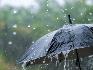 أمطار الخير ... هل تكفي لإنهاء أزمة الجفاف ؟ أمطار الخير ... هل تكفي لإنهاء أزمة الجفاف ؟