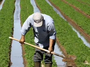 أمطار مارس تعيد الأمل لإقليم مولاي يعقوب وتنعش الموسم الفلاحي أمطار مارس تعيد الأمل لإقليم مولاي يعقوب وتنعش الموسم الفلاحي