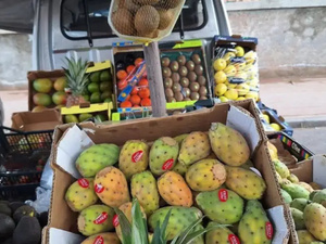 بثمن خيالي.. "الكرموس الهندي" فاكهة الفقراء لمن استطاع إليها سبيلا! بثمن خيالي.. "الكرموس الهندي" فاكهة الفقراء لمن استطاع إليها سبيلا!