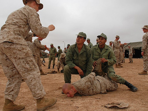 تعاون مغربي أمريكي في تدريب عسكري لمكافحة التهديدات الأمنية تعاون مغربي أمريكي في تدريب عسكري لمكافحة التهديدات الأمنية