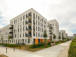 المنصوري: برنامج دعم السكن يحقق نجاحًا كبيرًا منذ إطلاقه المنصوري: برنامج دعم السكن يحقق نجاحًا كبيرًا منذ إطلاقه