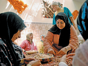 نساء القرى يشتغلن في الظل : 70.5% منهن يساهمن في الاقتصاد دون أجر في المقابل نساء القرى يشتغلن في الظل : 70.5% منهن يساهمن في الاقتصاد دون أجر في المقابل