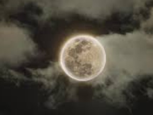 ليلة القدر... سكونٌ يهمسُ فيه النورُ للأرواح ليلة القدر... سكونٌ يهمسُ فيه النورُ للأرواح