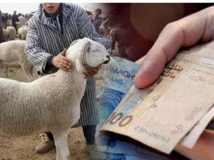 تحقيق حول دعم مشبوه لاستيراد الأغنام تحقيق حول دعم مشبوه لاستيراد الأغنام