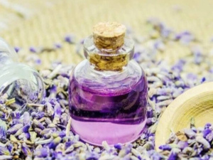 فوائد وطريقة عمل غسول الخزامى للمنطقة الحساسة فوائد وطريقة عمل غسول الخزامى للمنطقة الحساسة