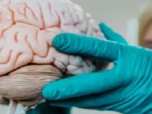 تأثير الاستخدام المفرط للهواتف الذكية على صحة الدماغ: تحذيرات من جامعة هارفارد