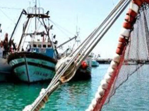 تراجع في مفرغات الصيد بميناء العرائش خلال الفصل الأول من العام الجاري
