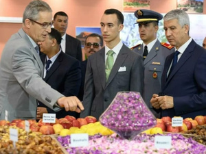 ولي العهد الأمير مولاي الحسن يفتتح الدورة الـ 17 للملتقى الدولي للفلاحة بالمغرب ولي العهد الأمير مولاي الحسن يفتتح الدورة الـ 17 للملتقى الدولي للفلاحة بالمغرب