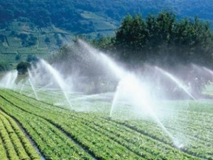 البواري يكشف عن برنامج سقي جديد استعدادًا لصيف 2025 البواري يكشف عن برنامج سقي جديد استعدادًا لصيف 2025