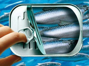 مجلس المنافسة يفتح تحقيقاً حول ممارسات منافية للمنافسة في سوق توريد السردين الصناعي مجلس المنافسة يفتح تحقيقاً حول ممارسات منافية للمنافسة في سوق توريد السردين الصناعي