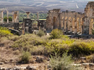 مشروع تطوير موقع وليلي الأثري: خطوة نحو تعزيز التراث والجاذبية السياحية