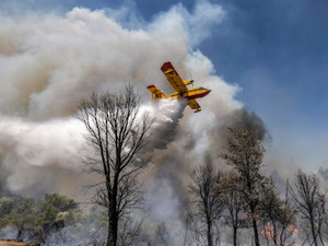 المغرب يعزز جاهزيته لصيف خالٍ من حرائق الغابات: 160 مليون درهم لمخطط وقائي شامل المغرب يعزز جاهزيته لصيف خالٍ من حرائق الغابات: 160 مليون درهم لمخطط وقائي شامل