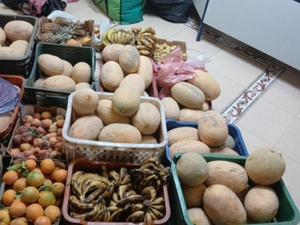 حملة واسعة بالملحقة الإدارية الداوديات لمكافحة احتلال الملك العمومي والأنشطة العشوائية
