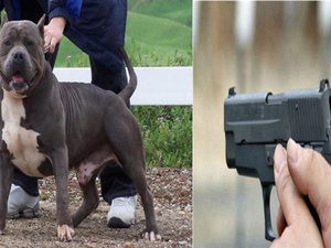 تدخل أمني حازم بالدار البيضاء: استعمال السلاح الوظيفي لتحييد خطر تهديد المواطنين تدخل أمني حازم بالدار البيضاء: استعمال السلاح الوظيفي لتحييد خطر تهديد المواطنين