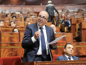 البواري : صادقنا على 58 مشروعًا لتربية الماشية باستثمار يقارب 500 مليون درهم البواري : صادقنا على 58 مشروعًا لتربية الماشية باستثمار يقارب 500 مليون درهم