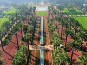 المدن المغربية تختنق… واش الحل فالأشجار؟ المدن المغربية تختنق… واش الحل فالأشجار؟