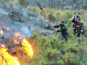 "نشرة حمراء" : الوكالة الوطنية للمياه والغابات تُحذر من موجة حرارة تهدد الثروة الغابوية "نشرة حمراء" : الوكالة الوطنية للمياه والغابات تُحذر من موجة حرارة تهدد الثروة الغابوية